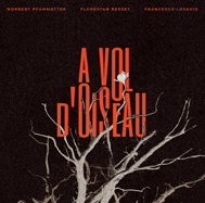 A Vol d’Oisau